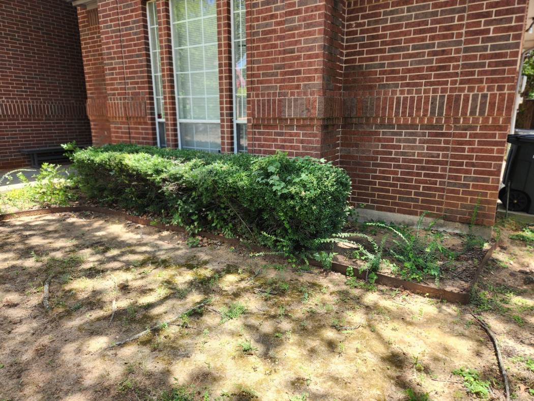 Before Smart Yard Landscaping Front