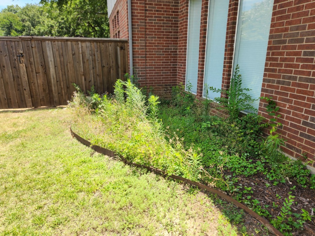 Before Smart Yard Landscaping Side House