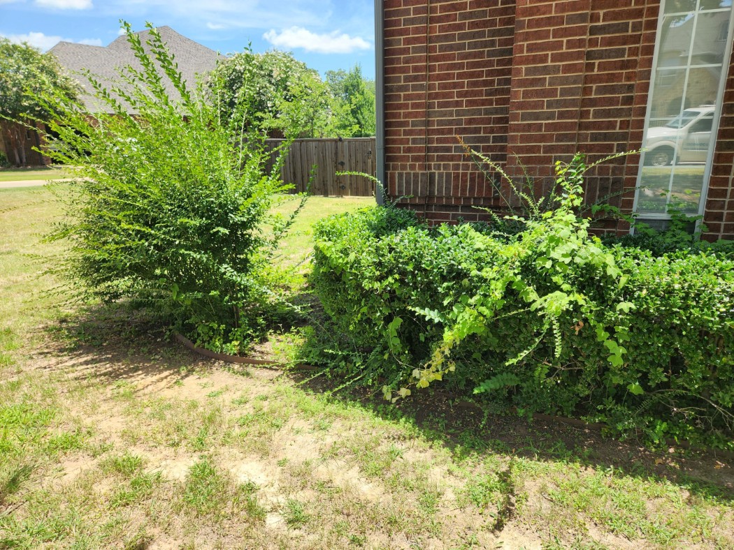 Before landscaping photo corner