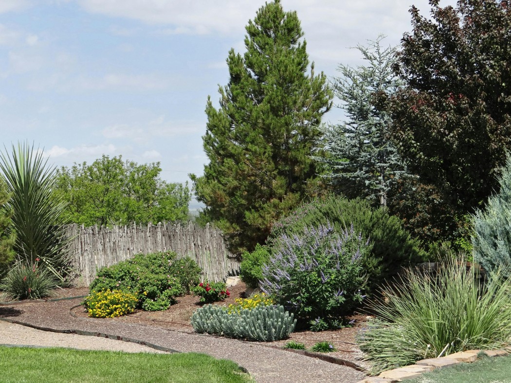 Smart Yard - How to choose plants for North Texas