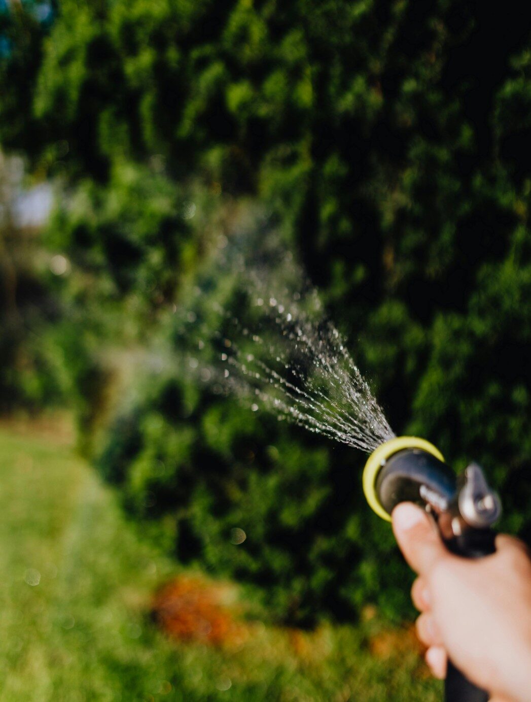 Smart Yard - Tips to avoid over-watering